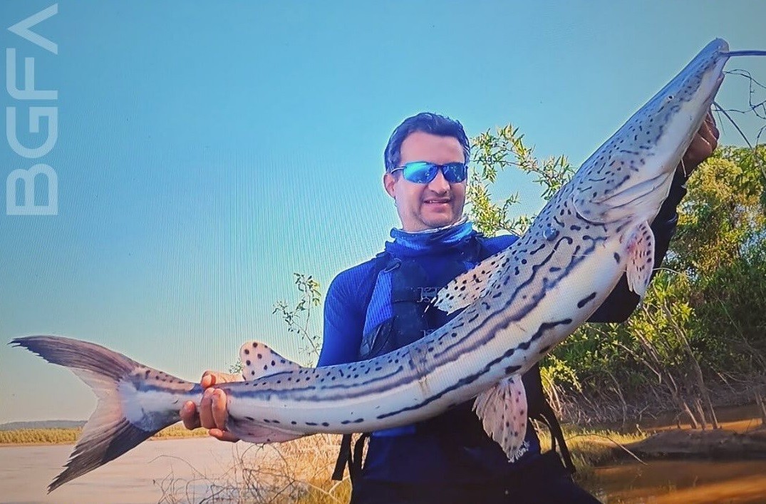 pescador-de-ro-pega-maior-surubim-lenha-do-brasil-e-bate-recorde