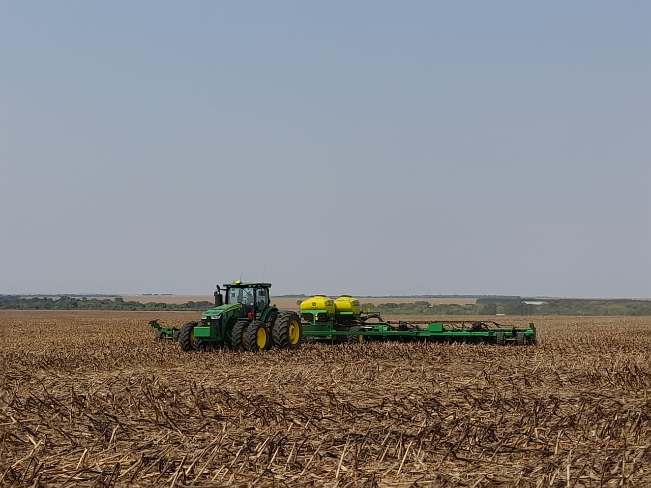 soja:-plantio-da-safra-brasileira-24/25-esta-acima-da-media