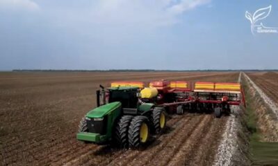 ‘a-moratoria-da-soja-tem-gerado-impactos-negativos-a-economia’,-diz-o-presidente-da-aprosoja-mt