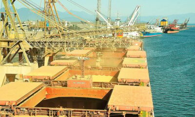 soja:-premios-de-exportacao-atingem-o-maior-valor-desde-2022