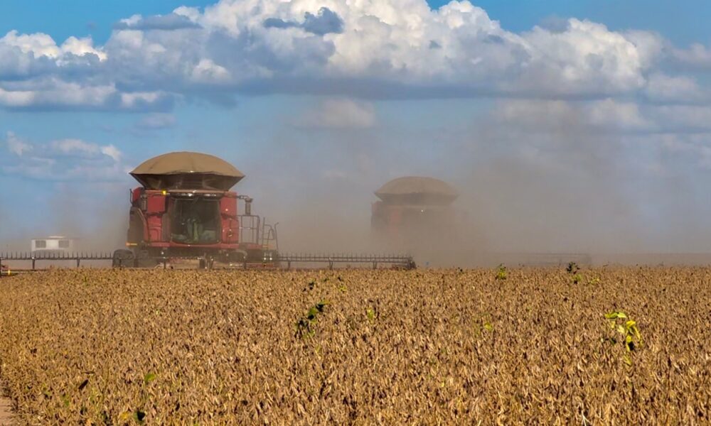 valor-bruto-da-producao-agropecuaria-deve-crescer-10%-e-atingir-r$-1,421-tri-em-2025