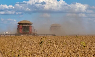 valor-bruto-da-producao-agropecuaria-deve-crescer-10%-e-atingir-r$-1,421-tri-em-2025