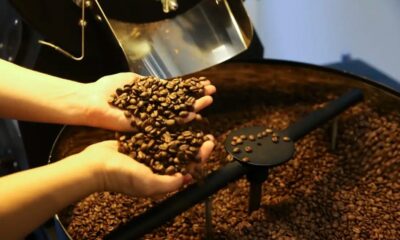 tarifas-dos-eua-trazem-incertezas-ao-setor-cafeeiro