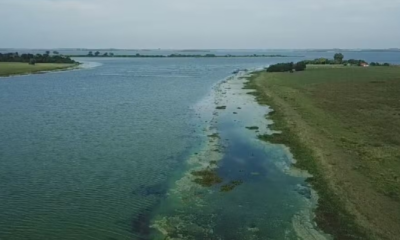 sp-libera-r$-2,5-mi-para-afetados-por-mortandade-de-peixes-no-rio-tiete