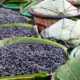 certificacao-do-‘acai-de-feijo’-impulsiona-a-economia-acreana