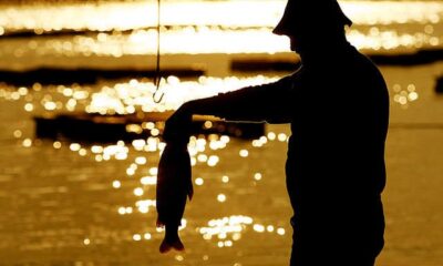 brasil-e-china-fazem-acordo-para-exportacao-de-pescados