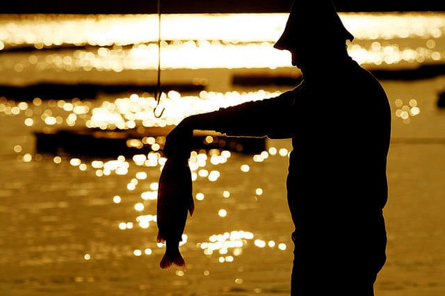 brasil-e-china-fazem-acordo-para-exportacao-de-pescados