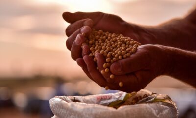com-usda-a-vista,-comercializacao-de-soja-dispara-no-brasil;-como-ficou-o-mercado?