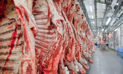 parceria-brasil-tailandia-reforca-sanidade-e-comercio-de-carnes