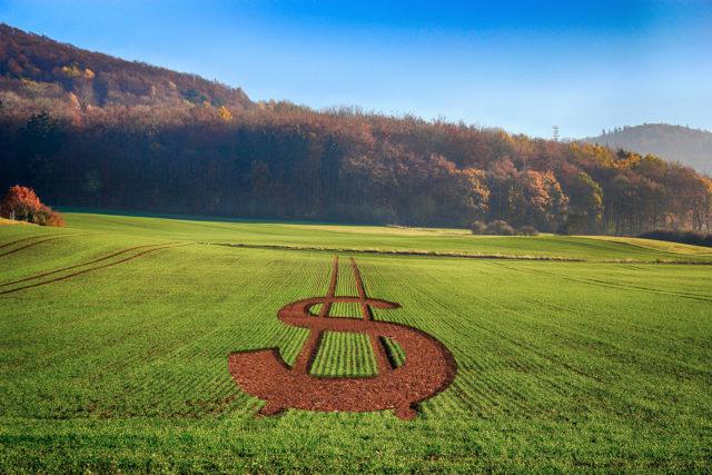 cmn-autoriza-financiamento-de-capital-de-giro-para-cooperativas-agro-do-rs