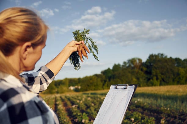 apos-tirar-o-mei-qual-a-principal-duvida-do-produtor-rural?
