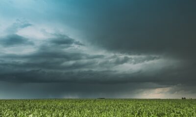 previsao-do-tempo-para-hoje-mostra-volta-chuva-e-ate-temporais-em-algumas-areas;-confira