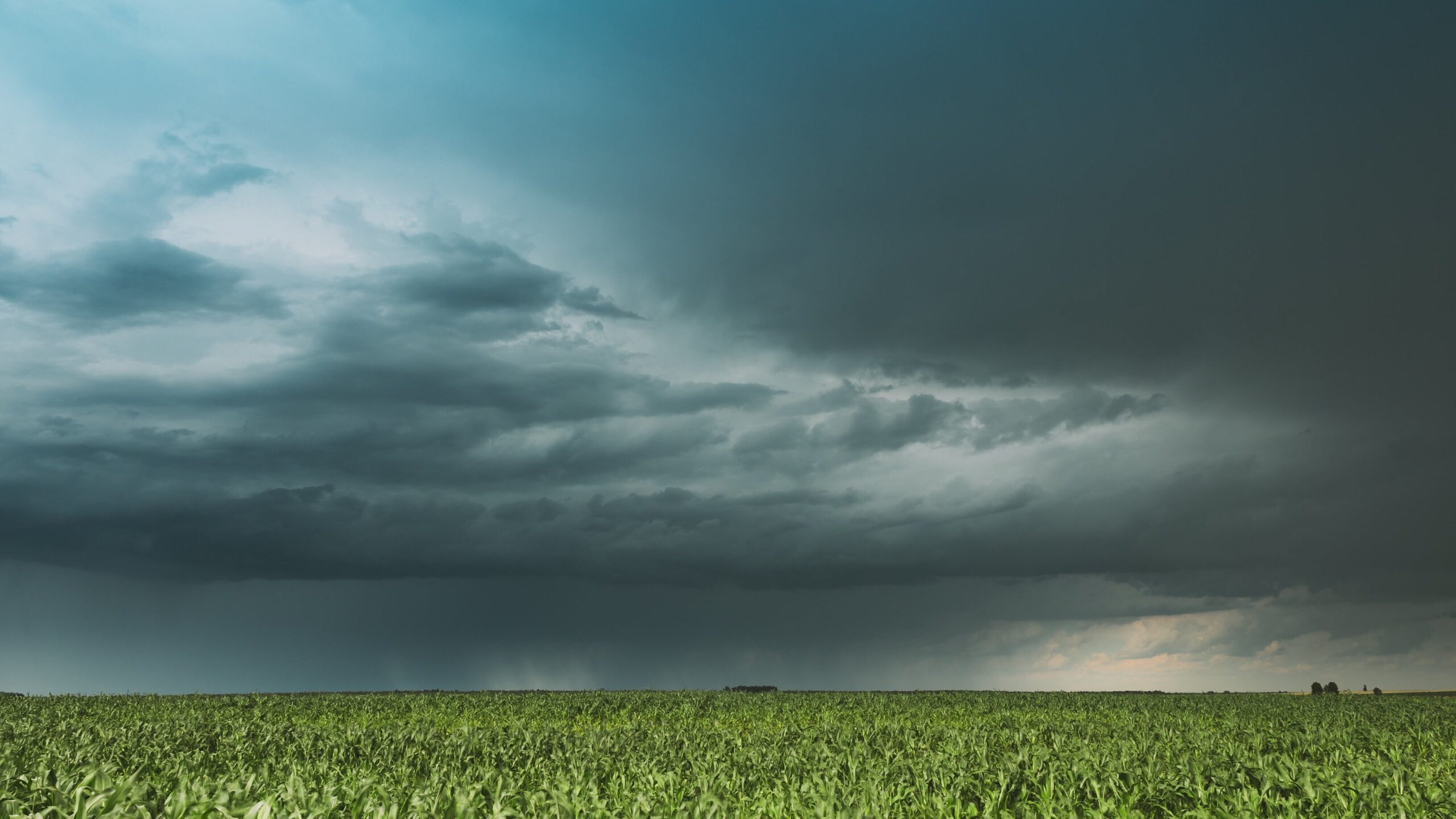 previsao-do-tempo-para-hoje-mostra-volta-chuva-e-ate-temporais-em-algumas-areas;-confira