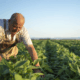 empretec-rural-chega-a-boituva-com-vagas-gratuitas-para-produtores