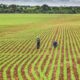 guerra-entre-ira-e-iraque:-e-hora-de-comprar-fertilizantes?