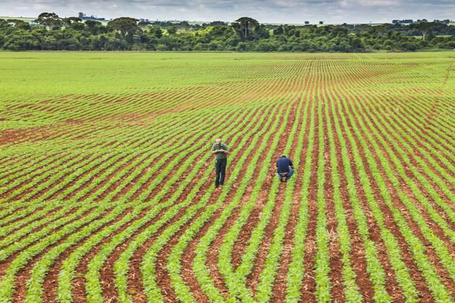 guerra-entre-ira-e-iraque:-e-hora-de-comprar-fertilizantes?