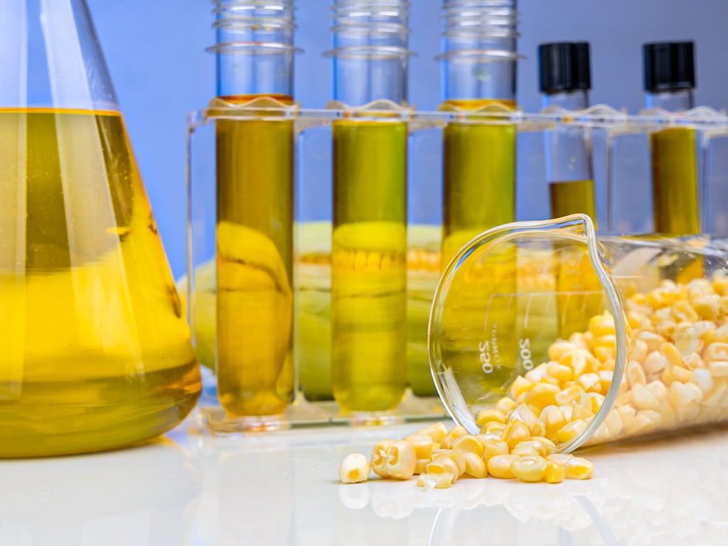 industria-de-etanol-de-milho-deve-registrar-margem-de-ate-34,7%-em-25/26,-diz-consultoria