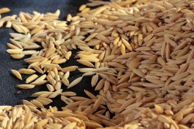 arroz-segue-em-queda,-mas-maior-demanda-limita-a-retracao
