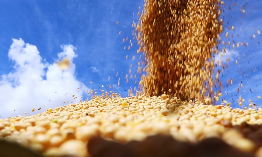 soja:-chicago-reabre-em-alta-com-suporte-de-exportacoes
