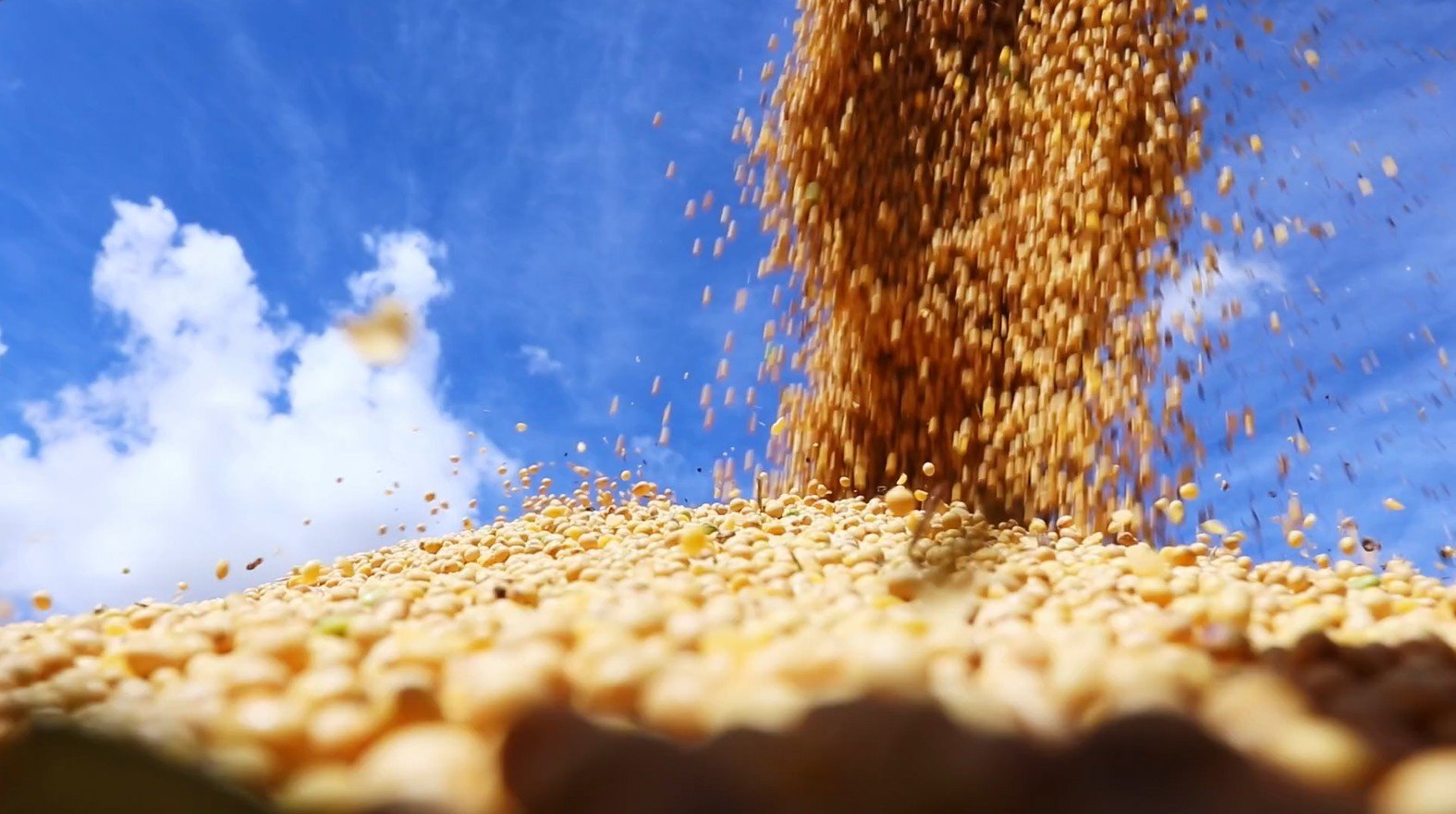 soja:-chicago-reabre-em-alta-com-suporte-de-exportacoes