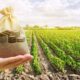 cmn-ajusta-regras-de-direcionamentos-de-credito-rural-e-do-proagro