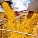 plano-safra-pode-impulsionar-credito,-mecanizacao-e-lucro-para-produtor-de-soja,-diz-comentarista