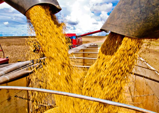 plano-safra-pode-impulsionar-credito,-mecanizacao-e-lucro-para-produtor-de-soja,-diz-comentarista