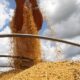 usda-reduz-numeros-de-soja-nos-eua-e-brasil-em-‘modo-turbo’-na-comercializacao