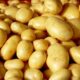 batata:-oferta-maior-reforca-queda-nas-cotacoes