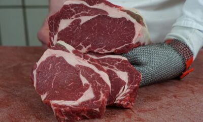 exportacoes-de-carne-bovina-batem-recorde-em-junho,-mas-tarifaco-de-trump-preocupa-frigorificos