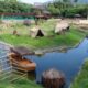 sobe-para-16-o-numero-de-galinhas-d’angola-mortas-no-bioparque-do-rio