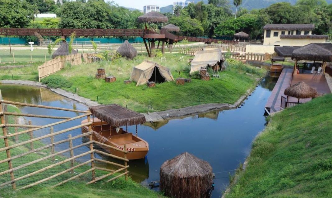 sobe-para-16-o-numero-de-galinhas-d’angola-mortas-no-bioparque-do-rio