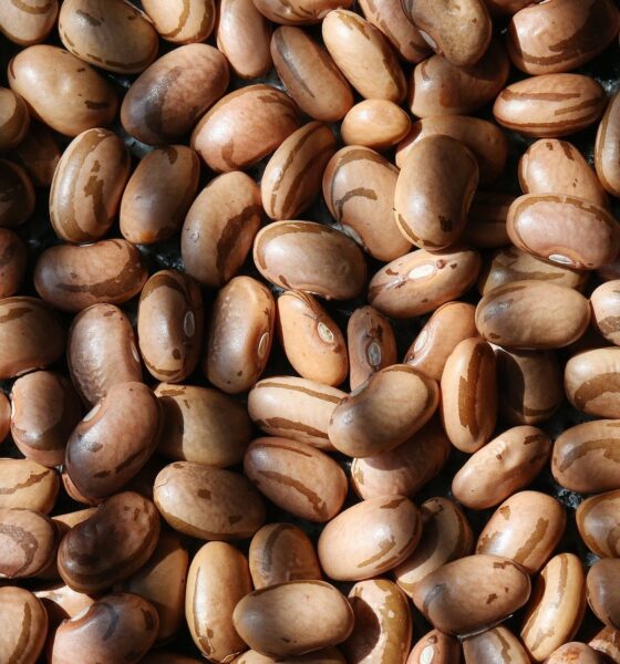 feijao:-com-acumulo-de-estoques,-quedas-prevalecem-em-julho