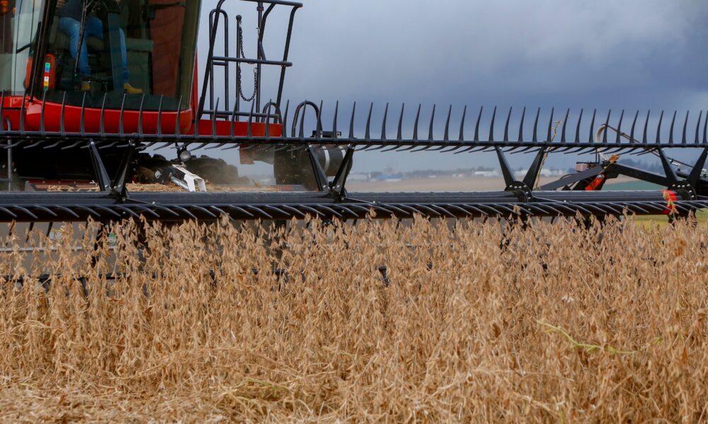 produtor-de-soja-adota-cautela-no-brasil;-lavouras-nos-eua-apresentam-boas-condicoes