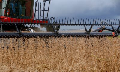 produtor-de-soja-adota-cautela-no-brasil;-lavouras-nos-eua-apresentam-boas-condicoes