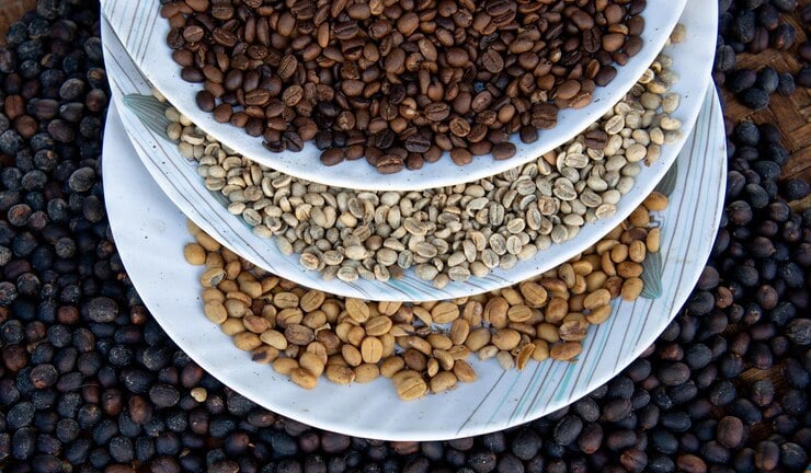 busca-de-novos-mercados-passa-pela-insercao-do-cafe-verde-no-reintegra,-defende-setor