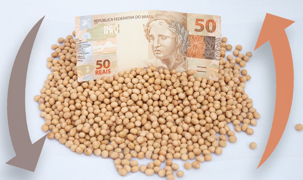 precos-da-soja-continuam-impactados-por-relatorio-do-usda;-veja-cotacoes