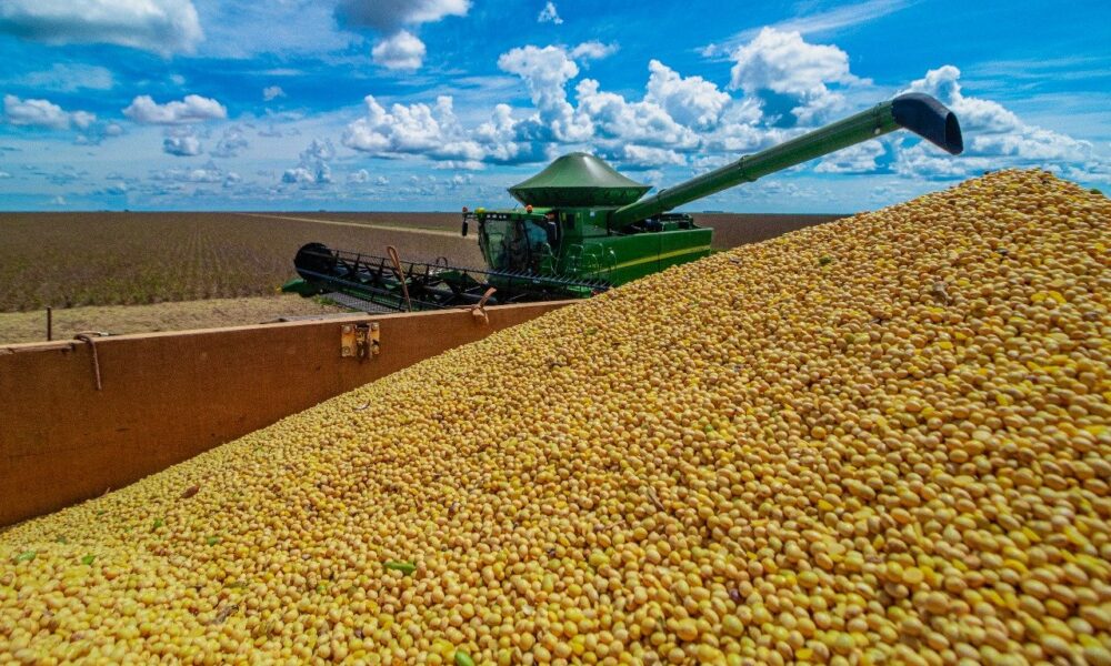 produtores-de-soja-do-oeste-da-bahia-tem-ate-este-domingo-para-cadastro-de-plantio-antecipado