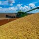 produtores-de-soja-do-oeste-da-bahia-tem-ate-este-domingo-para-cadastro-de-plantio-antecipado