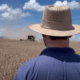comissao-da-agricultura-da-camara-aprova-estatuto-do-produtor-rural