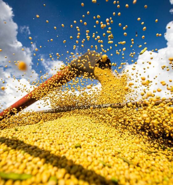 maior-do-que-o-esperado!-usda-e-conab-confirmam-ampla-oferta-mundial-de-soja-na-safra-25/26