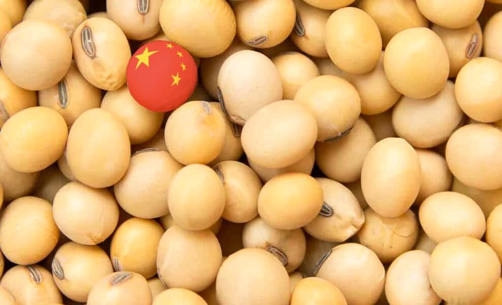 china-nao-esta-abastecida-e-precisa-da-soja-dos-eua,-diz-chefe-do-usda