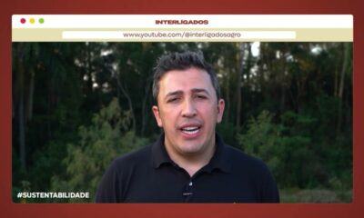 veja-cinco-dicas-para-uma-avicultura-mais-sustentavel-e-lucrativa