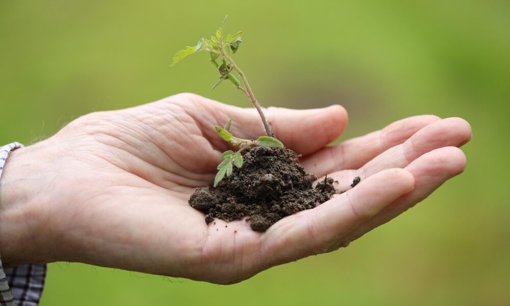 entidades-defendem-protagonismo-do-agro-na-mitigacao-climatica-e-pedem-revisao-do-plano-clima
