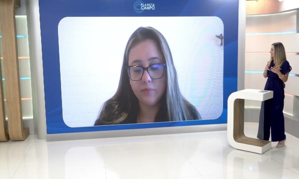 aplicativo-ajuda-a-evitar-prejuizos-nas-lavouras-e-proteger-apiarios