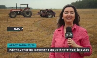 queda-no-preco-do-arroz-forca-produtores-a-diminuir-plantio