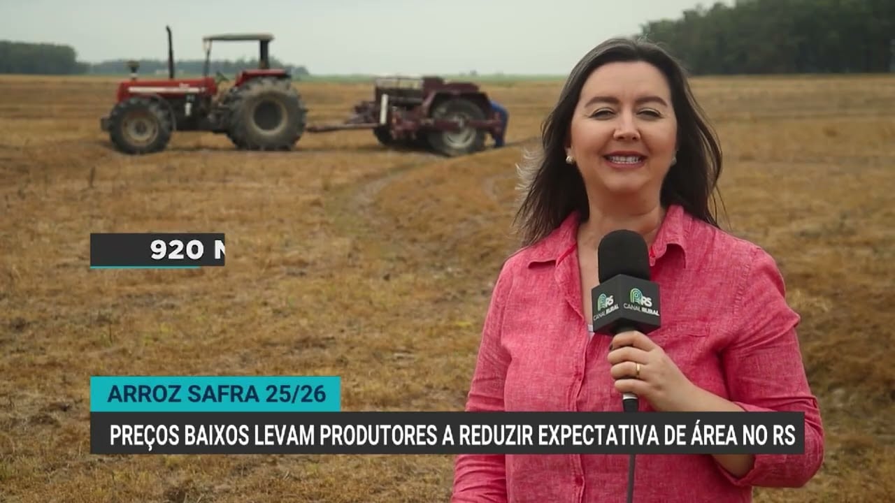 queda-no-preco-do-arroz-forca-produtores-a-diminuir-plantio