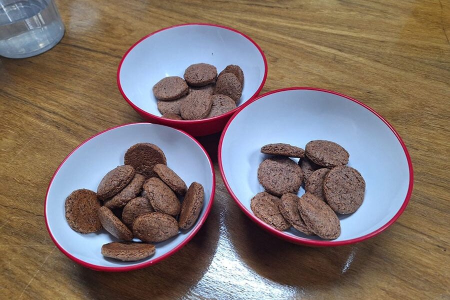 novo-biscoito-e-feito-com-farinha-da-casca-de-cafes-finos