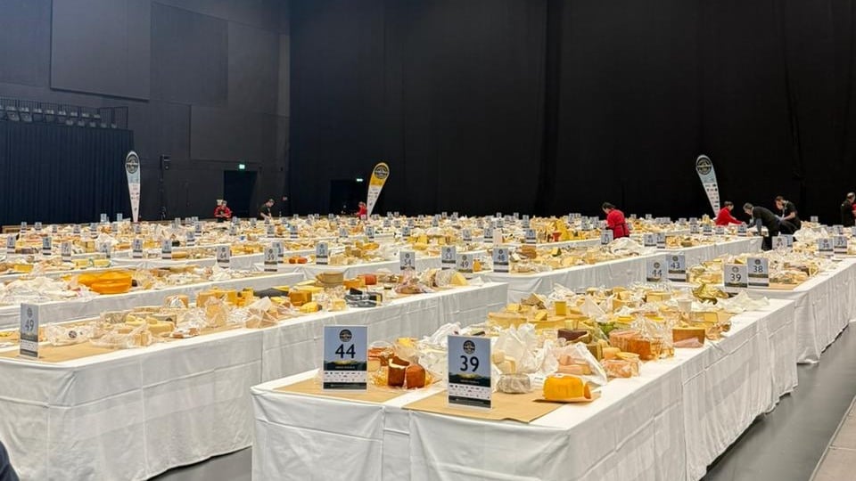 brasil-conquista-50-medalhas-em-concurso-mundial-de-queijos